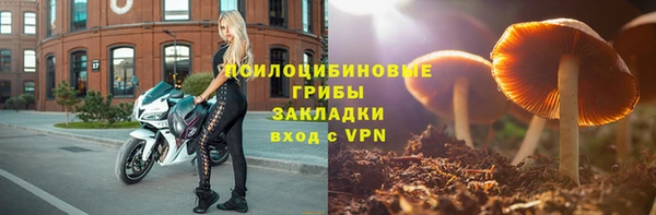 спиды Алексин