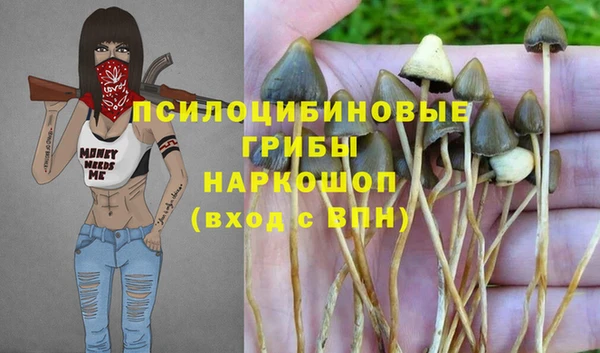 МДПВ Киреевск
