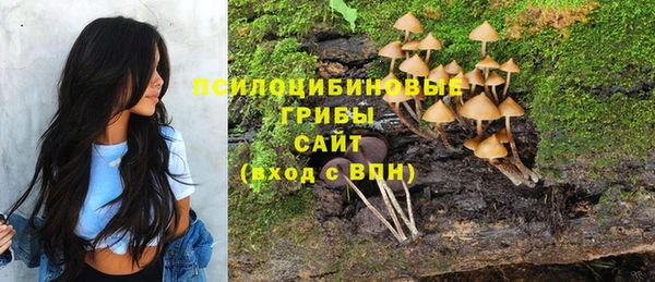спиды Алексин