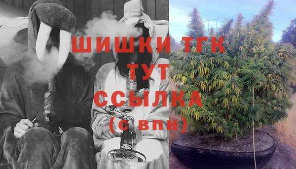 соль ск Алзамай